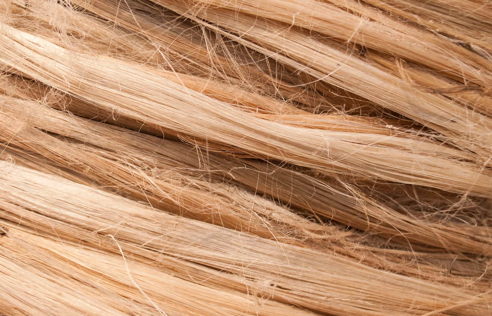 Close crop of undyed wool fiber next to a strand of smooth cotton yarn